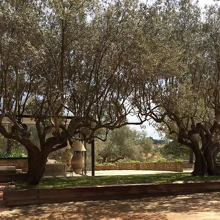 La Collegiata Bed & Breakfast