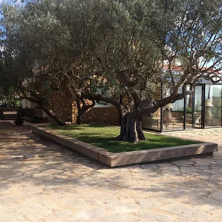 La Collegiata Bed & Breakfast